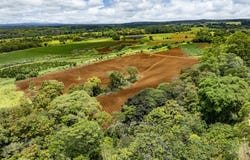 1436 MAIKALANI ST, Hilo, HI 96720