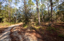 LAKE EVERETT Drive, Melrose, FL 32666