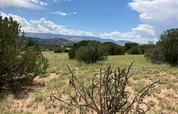 Private Drive 1613B lot: 3, Medanales, NM 87548