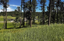Blk 7 Lot 4, Hill City, SD 57745