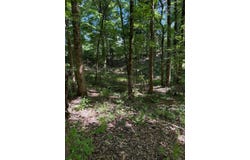 San Roc Road, GRENADA, MS 38901