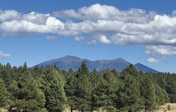 665 S Dust Devil Drive, Parks, AZ 86018