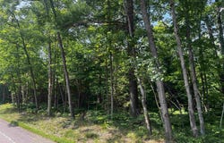 20 acres County Road 510, Big Bay, MI 49808