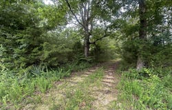 154 Wheat Store Road, Decaturville, TN 38329