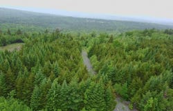 14 Alpine Ridge, Greenville, ME 04441