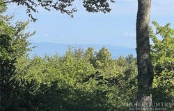 114 Mill Pond Lane, Beech Mountain, NC 28604