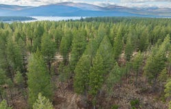 Dropping Draw lot: 56, Eureka, MT 59917