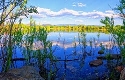 1993 S Fork Dr, Lafayette, CO 80026