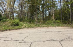 816 E Indiana Street, New Buffalo, MI 49117