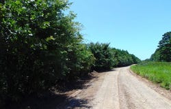 tbd Peach Creek Road, Fanshawe, OK 74935