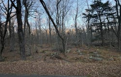 27 Spring Court, Newfoundland, PA 18445