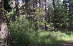 River Canyon Rd, Imnaha, OR 97842