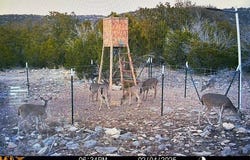 74,75,76 Other, Rocksprings, TX 78880