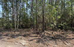 23485 Hwy 603, Kiln, MS 39556