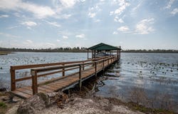 7757 Paradise drive, Donalsonville, GA 39845