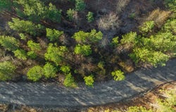 28 Painted Bunting Trail, Smithville, OK 74957