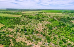 TBD  FM 1039, Crowell, TX 79227