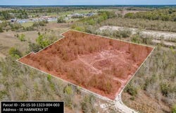 SE HAMMERLY ST, Lee, FL 32059