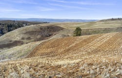 TBD Old Culdesac Road, Culdesac, ID 83524