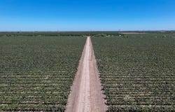 18190 Cooperopolis Road, Stockton, CA 95236