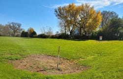 Appel, Springfield, MN 56087