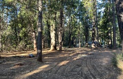 Alward Way, Shingletown, CA 96088
