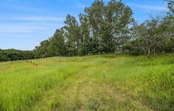 19.19 A W 40TH AVENUE, MEARS, MI 49436