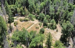 5300 Cabin Gulch, Douglas City, CA 96024