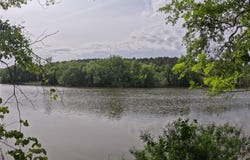 3111 Catawba Road unit: 8, Great Falls, SC 29055