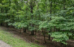 148 PONDS COURT, BERKELEY SPRINGS, WV 25411