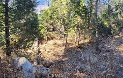 0 MEADOW Drive, Lake Arrowhead, CA 92352