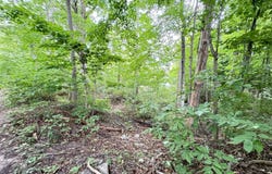200 S Water Street, Hart, MI 49420