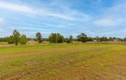 16934 Ridgeline Loop, Winona, TX 75792