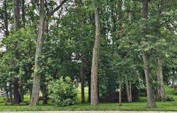 2411 W Memorial Drive, Janesville, WI 53548