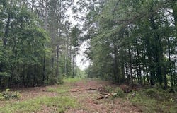 301 Freeman Road, Summit, MS 39666