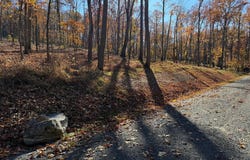 DIGGING BEAR LN, HILLSBORO, VA 20132