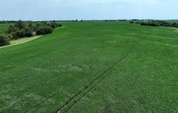 128th Street, Corydon, IA 50060