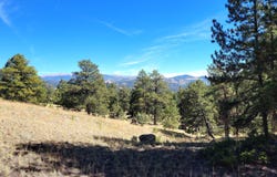 TBD County Road 12, Florissant, CO 80816