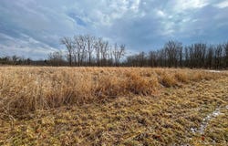 8008 Wadsworth Rd., Wadsworth, OH 44281