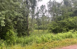 On CTH N, Glidden, WI 54527