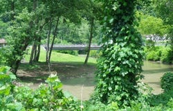 Cove St, WAR, WV 24892