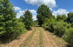 0 Highway 8, Philipp, MS 38950