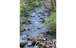 1500, 1551 Reading Creek Road, Douglas City, CA 96024