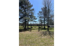 230 Keelon Gap Rd, Spruce Pine, AL 35585
