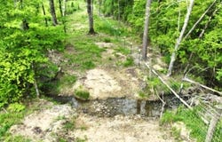 251 Polk Road 72, Mena, AR 71953