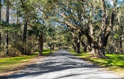 4400 Wando Farms Road, Mount Pleasant, SC 29429