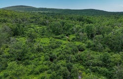 Center Hill Road, Weld, ME 04285