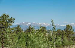 91 Canteen Way, Hartsel, CO 80449