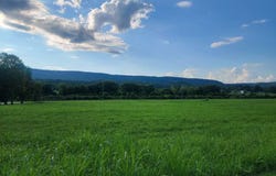 Lot 33 Hinch Street, Spring City, TN 37381