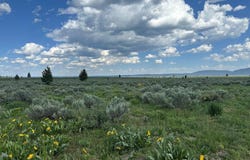 4042 Brooks Blaze Lane, Island Park, ID 83429